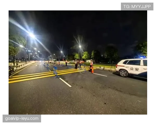 欧洲杯安保全面升级,筑牢安全防线提升球迷观赛体验