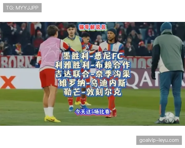 莫利纳持续闪耀,助乌迪内斯再取关键胜利