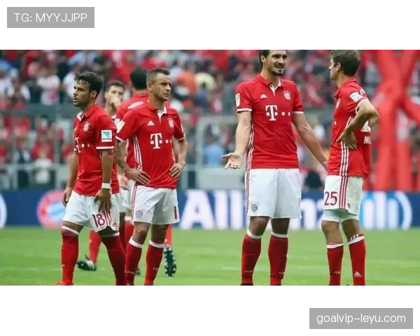 红牛球迷席卷德甲赛场，热情表现备受关注